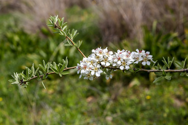 Similar image 21348574