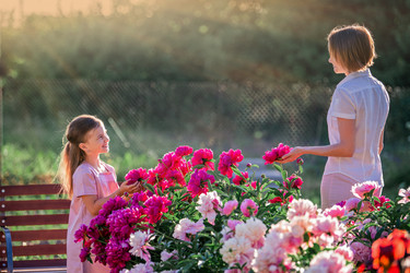 Similar image 21351317