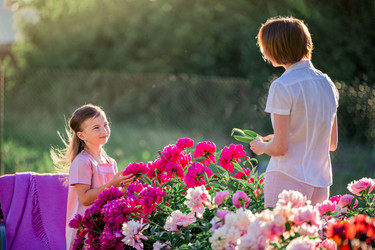 Similar image 21346820