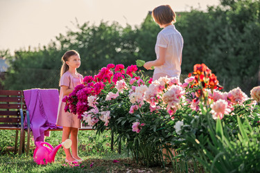 Similar image 21351318