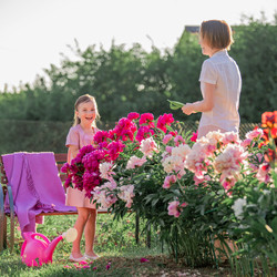 Similar image 21351319