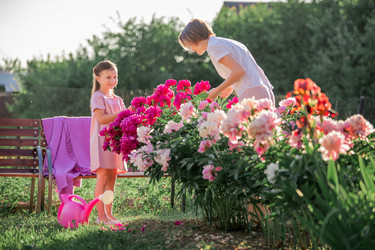 Similar image 21351320