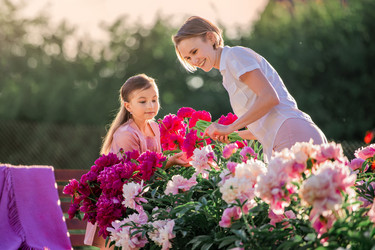 Similar image 21351321