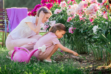 Similar image 21346825