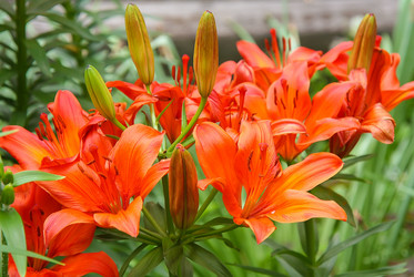 Similar image 21370661