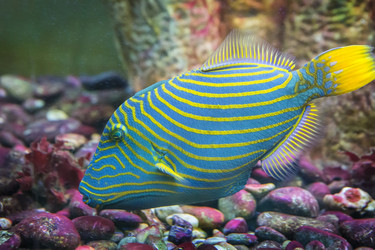 Similar image 21350019