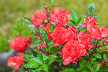 Similar image 21366519