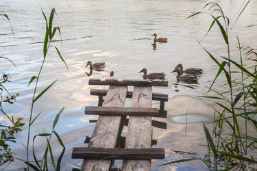 Similar image 21368981