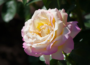 Similar image 21366535