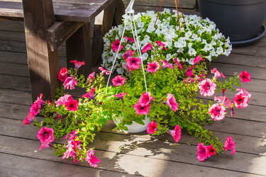 Similar image 21370679