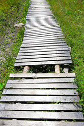 Similar image 21370681