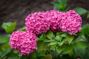 Similar image 21359791