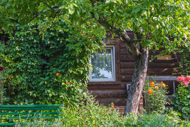 Similar image 21350312