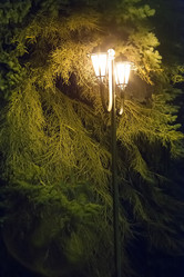 Similar image 21366570