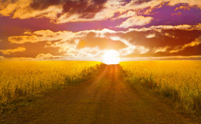 Similar image 21370691