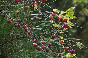 Similar image 21370955