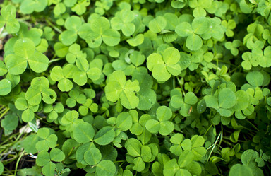 Similar image 21356217