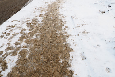 Similar image 21374918