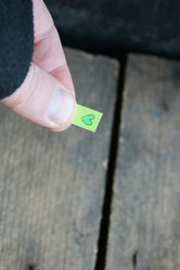 Similar image 21369332