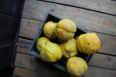 Similar image 21369354