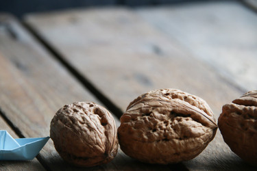 Similar image 21369411