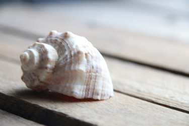 Similar image 21369201