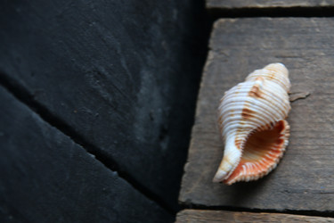 Similar image 21369423