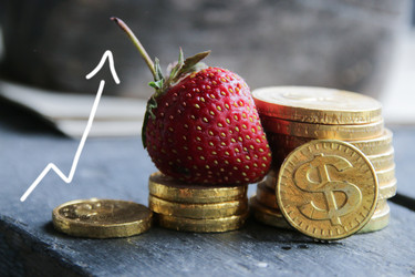 Similar image 21369445