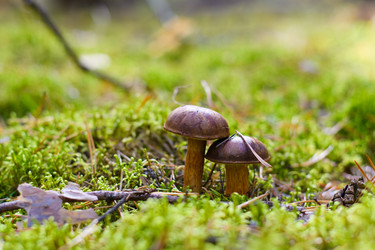 Similar image 21347680