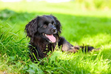 Similar image 21345444