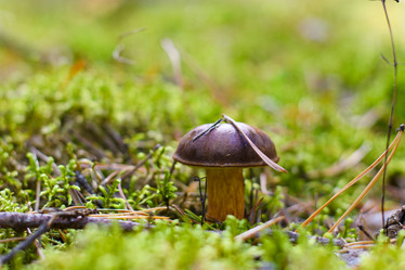 Similar image 21345445