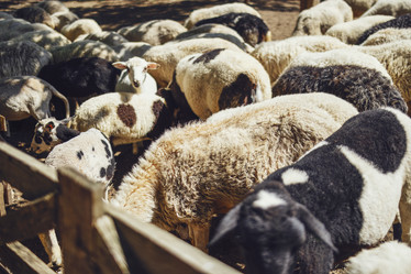 Similar image 21363599