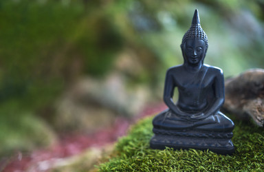 Similar image 21364330