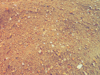 Similar image 21374099