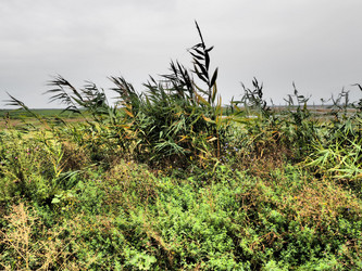 Similar image 21374820