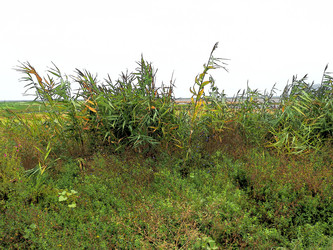 Similar image 21374920