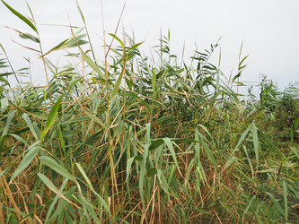 Similar image 21374924