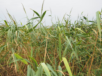 Similar image 21374925