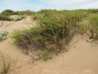 Similar image 21375085