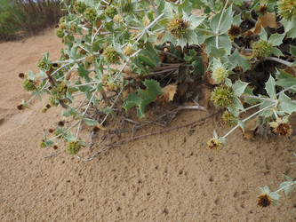 Similar image 21375286