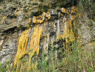 Similar image 21375292