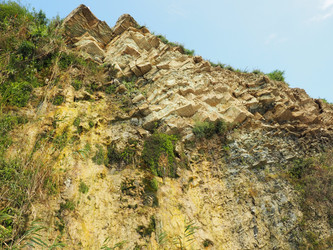 Similar image 21375293