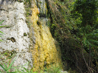 Similar image 21375294