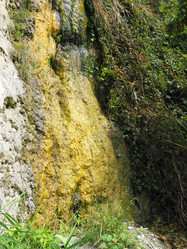 Similar image 21375295