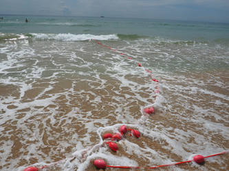 Similar image 21374400