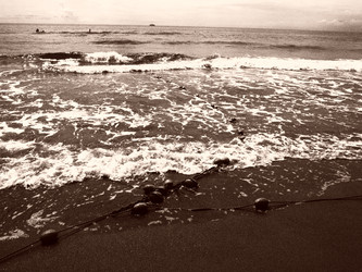 Similar image 21374402