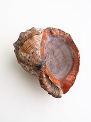 Similar image 21374664