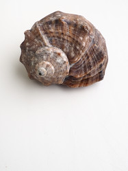 Similar image 21374668