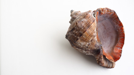 Similar image 21374823