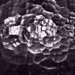 Similar image 21374932